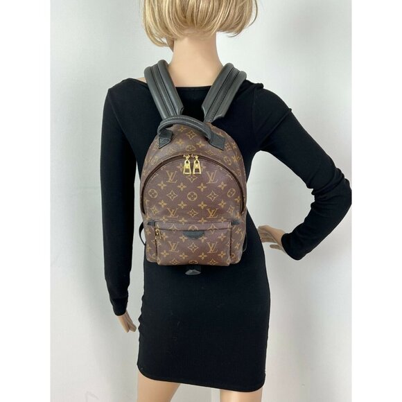 Louis Vuitton Backpack Palm Springs PM Monogram Canvas Backpack main image 9